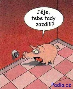 Obrazek